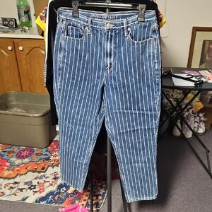 American Eagle Outfitters Striped Blue Denim